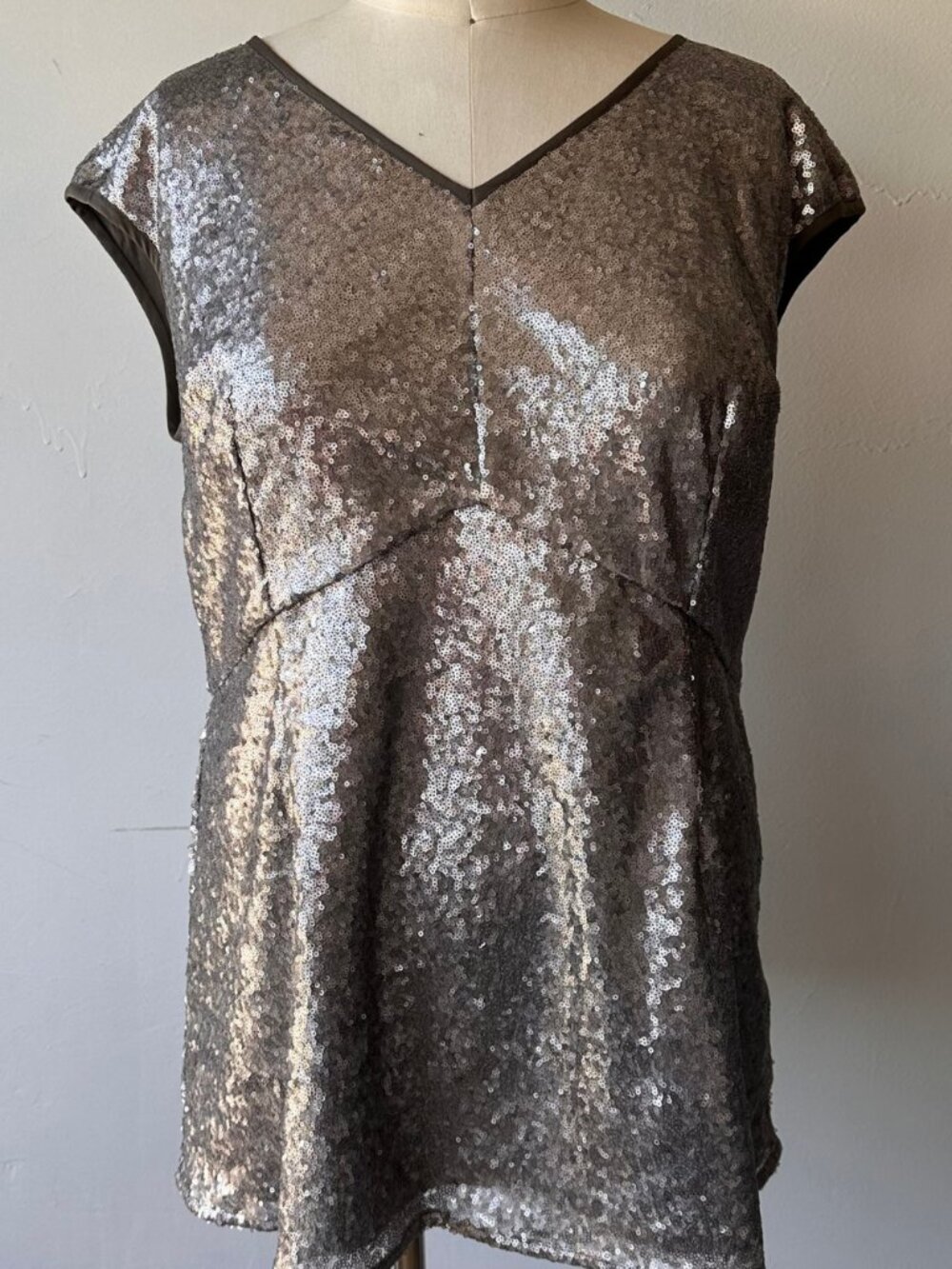 eShaki Silver Sequin Top 3X